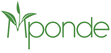 mpondetea.co.tz